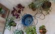 Système de micro irrigation pour plantes d’intérieur