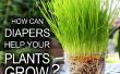 Aide que vos plantes poussent les couches ! 