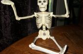 Posable Skelly