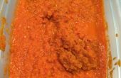 Blazin ' Sauce piquante de la carotte du Belize Habenero