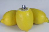 Comment faire un pulvérisateurs agrumes citron et de Lime