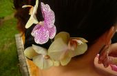 Orchid hairstyle