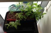 Mini jardin d’herbes aromatiques de culture hydroponique V2.0