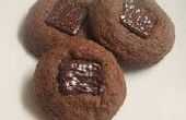 Biscuits au chocolat de menthe
