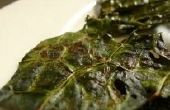 Croustillant Kale Chips - « Style Dino »