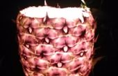 Ananas Luminaria