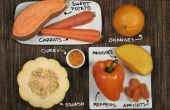 Aliments orange ! Colorful cuisine sans colorants artificiels. 