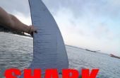 Remorque kayak sharked
