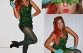 Costume de Poison Ivy