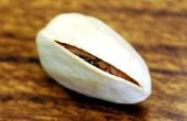 Comment ouvrir une noix de pistache embêtants
