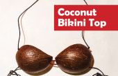 Haut de Bikini de noix de coco