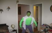 Incroyable Hulk Costume