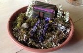 Jardins miniatures