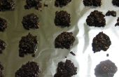 Flocons d’avoine au chocolat non-cuit