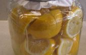 Préserver les citrons