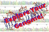 Explorez votre génome ! 