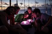 Solaire lampe de Snare océan recyclé