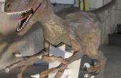 Statue de Velociraptor et tête de T-Rex