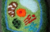 Needle Felted Plant Cell
