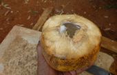 Comment couper une noix de coco tendre