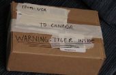 Comment expédier un tigre au Canada