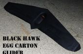 Planeur de carton oeuf Black Hawk