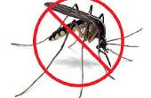 Moustiques agains protection extérieure