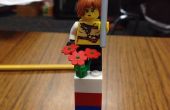 Projet de LEGO Instructions