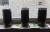 BRICOLAGE jardin d’herbes aromatiques Windowsill Mason Jar