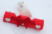Cadeau de Saint Valentin bricolage / Pencil Case recyclage Tube carton pas coudre