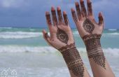 Amazing Designs bricolage tatouage au henné pour les mains