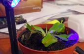 Uv imprimés 3D éclairage des plantes
