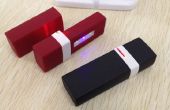 Stérilisateur à USB portbale LED UV-C (nettoyeur)