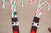 Renne Candy Canes