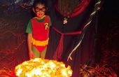 Costume de Robin