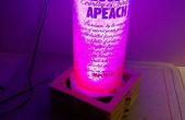 Rougeoyant lampe en verre tesson bouteille couché * 16 couleurs LED w / télécommande *
