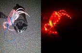 Costume de chien ou de décoration LED Spider