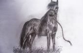 Mon dessin de cheval