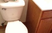 La farce de siège de toilettes