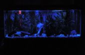 Alésages Aquarium LED