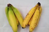 Conserver les bananes fraîches plus longtemps (tranches, trop!) 