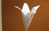 Origami : Lily Tulip Flower