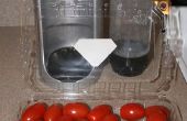 Carbonatation de tomates