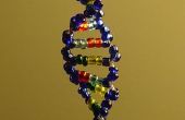 La Double hélice-modèle de l’ADN de perle de verre V2.0