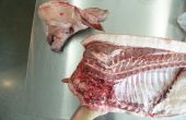 Boucherie jusqu’au bout : Faire tomber un porc laineux-rouge se dandiner patrimoine cochon