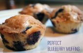 Muffins aux bleuets de parfait