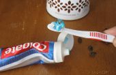 Bug dans la farce de dentifrice
