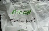 Downsizing grocery bags