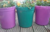 Faire vos propres pots de plantes colorées