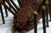 Mini gâteau araignée
